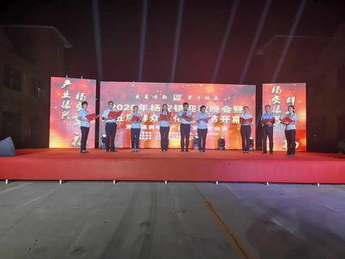 太熱鬧啦！2020楊安鎮(zhèn)迎秋晚會(huì)暨第五屆群眾文化藝術(shù)節(jié)盛大開幕